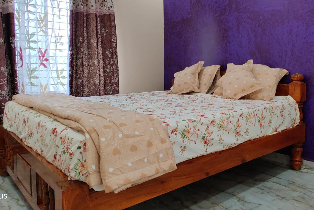 Akash Homestay 亨比 外观 照片